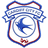 Cardiff badge