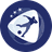 UEFA U21 Championship Badge